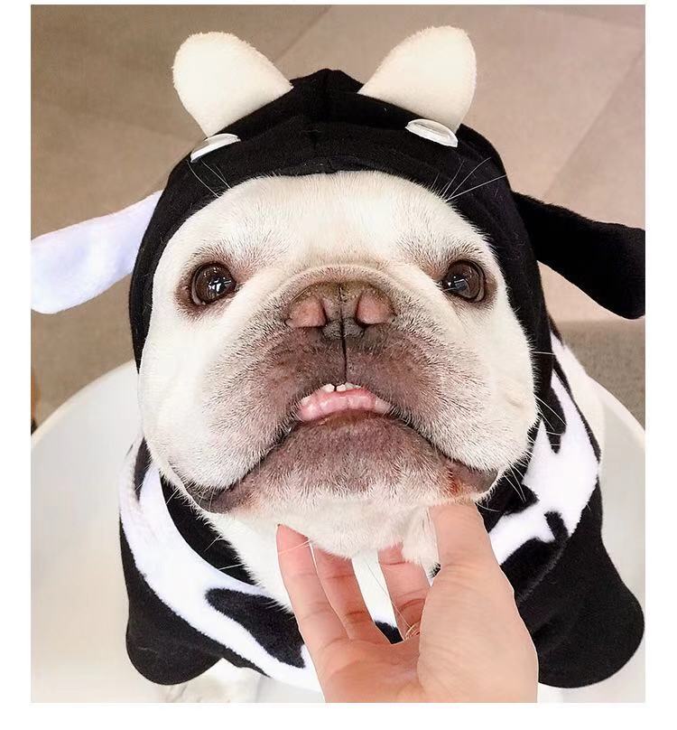 French Bulldog Halloween Cow Costumes with Bag Attached