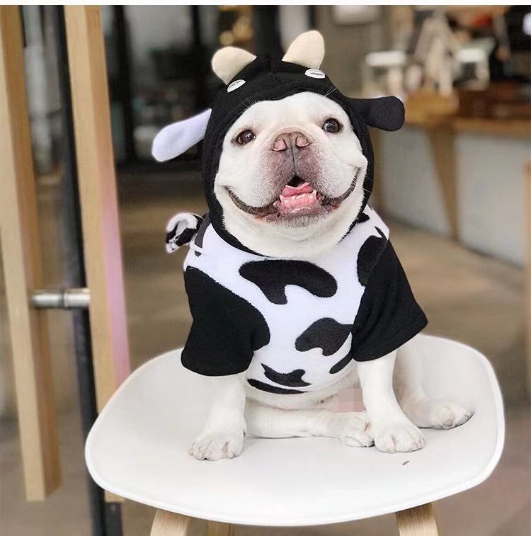 French Bulldog Halloween Cow Costumes with Bag Attached