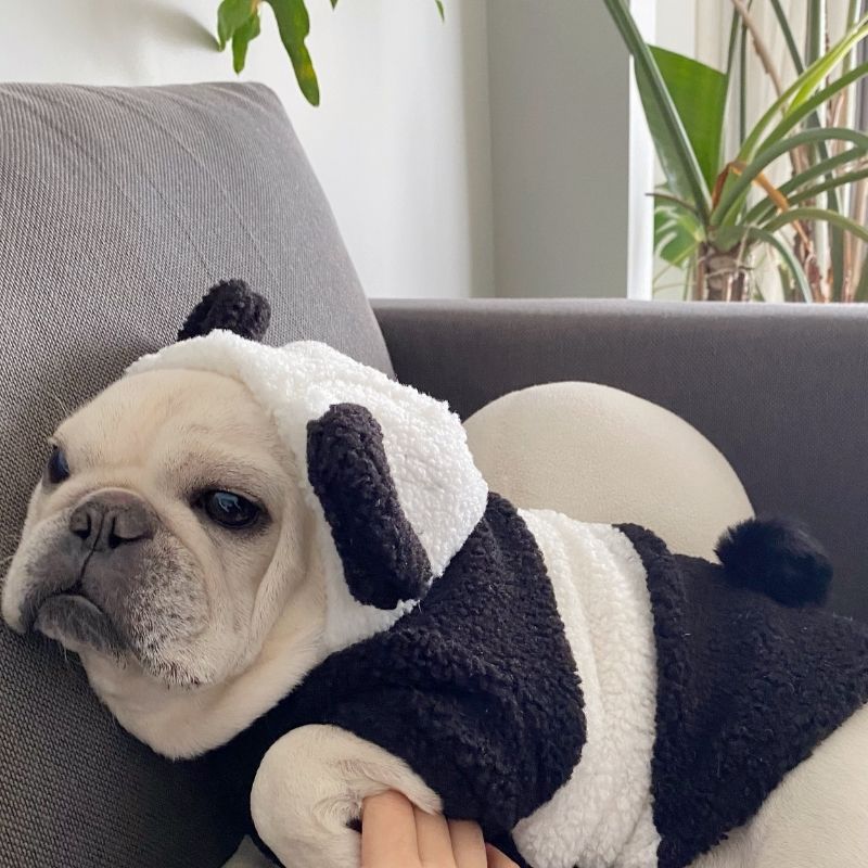 Frenchiely French Bulldog Panda Costume by Frenchiely