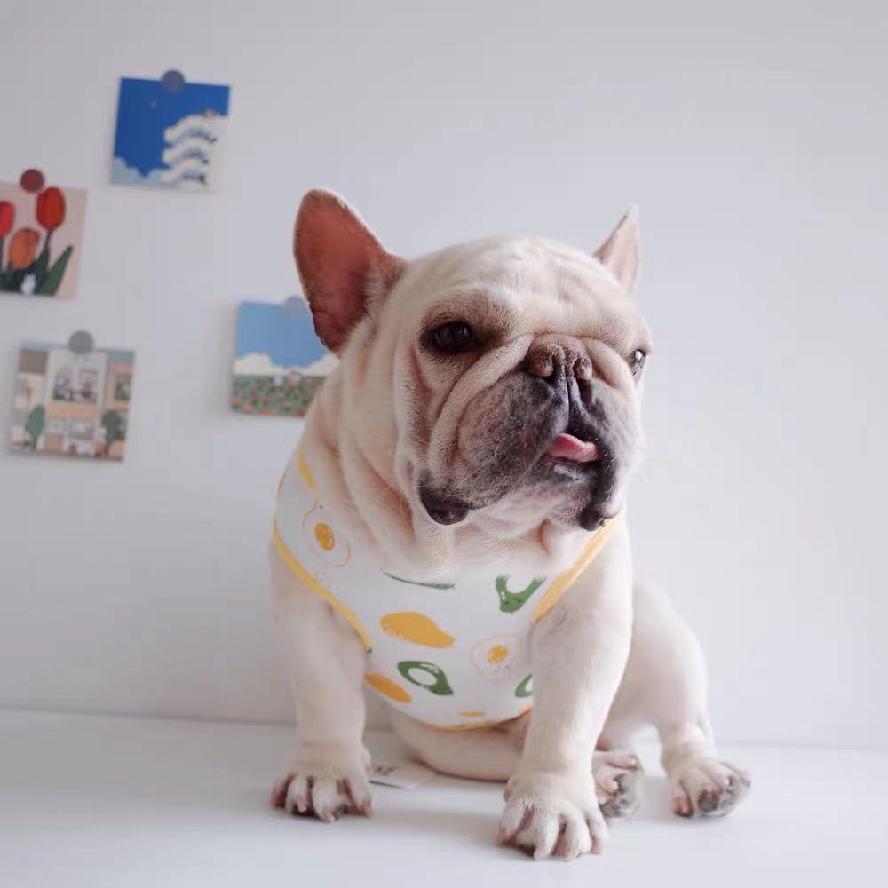 Frenchiely French Bulldog Shirt Outfits ' Avocado ' 0