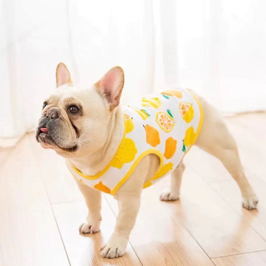 Dog Cute Green Elephants Cotton Shirt Vest for Medium Dogs - Frenchiely