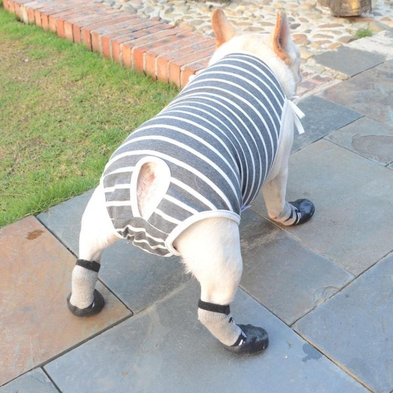 Striped Dog Period Panties Pants - Frenchiely