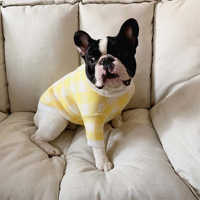 Dog Yellow Plaid Sweater - Frenchiely