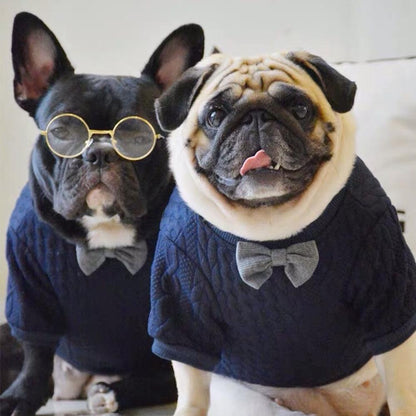 french bulldog jumpers for dogs with Bow - Frenchiely