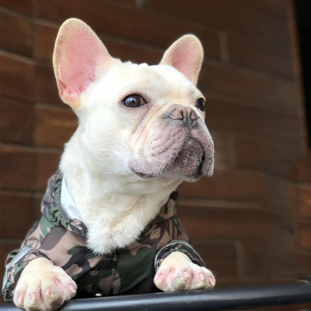 Dog Camo Hooded Reflective Rain Jacket - Frenchiely