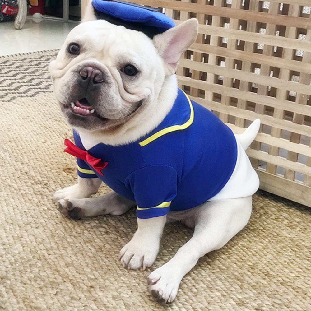 Dog Donald Duck Halloween Costume for Medium Dogs - Frenchiely