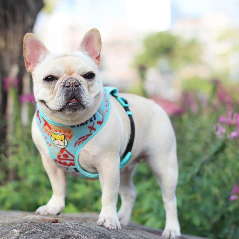 mesh camo harness for dogs - Frenchiely