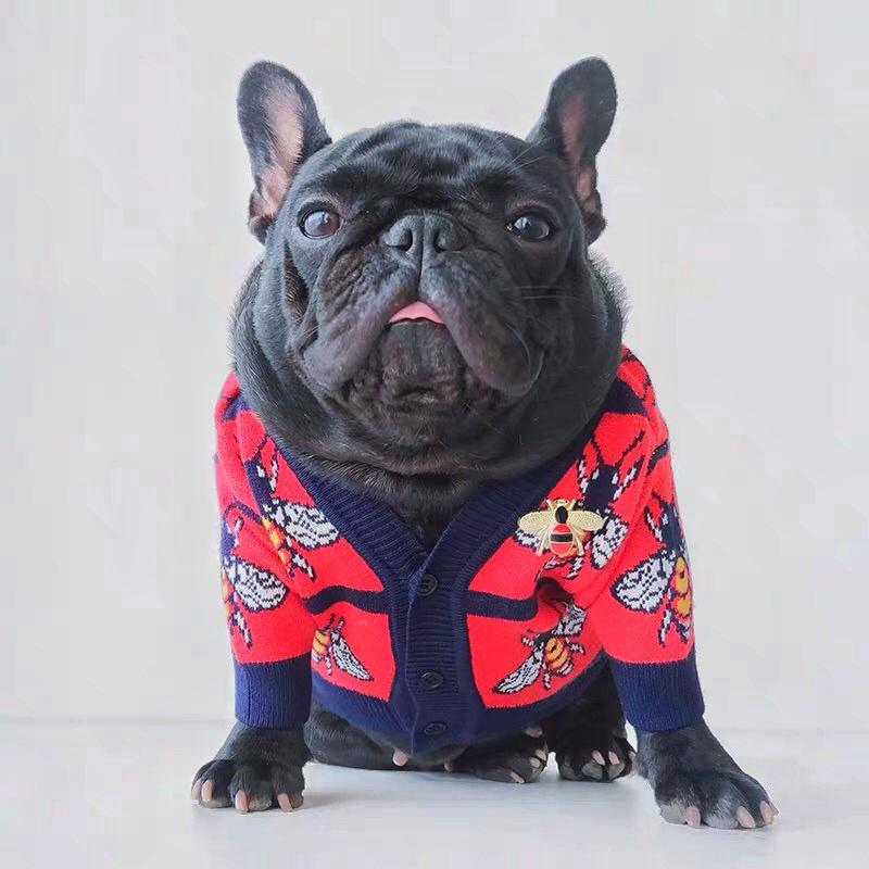 Cardigan Sweaters for French Bulldogs - Frenchiely