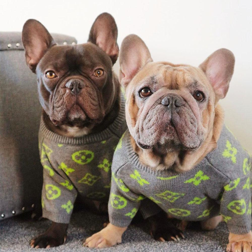 Stylish Dog Pullover Sweater - Frenchiely