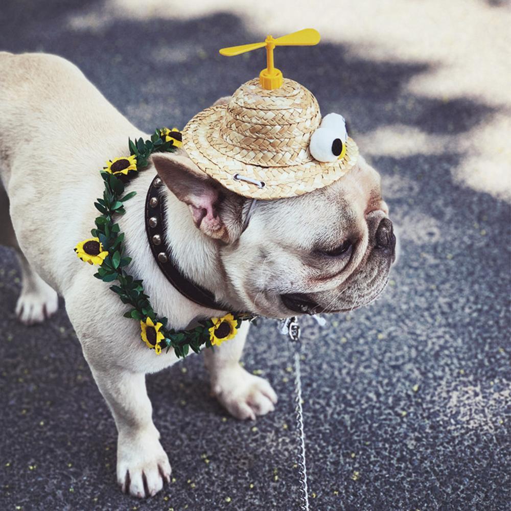 Dog Spinning Straw Hat for French Bulldog - Frenchiely