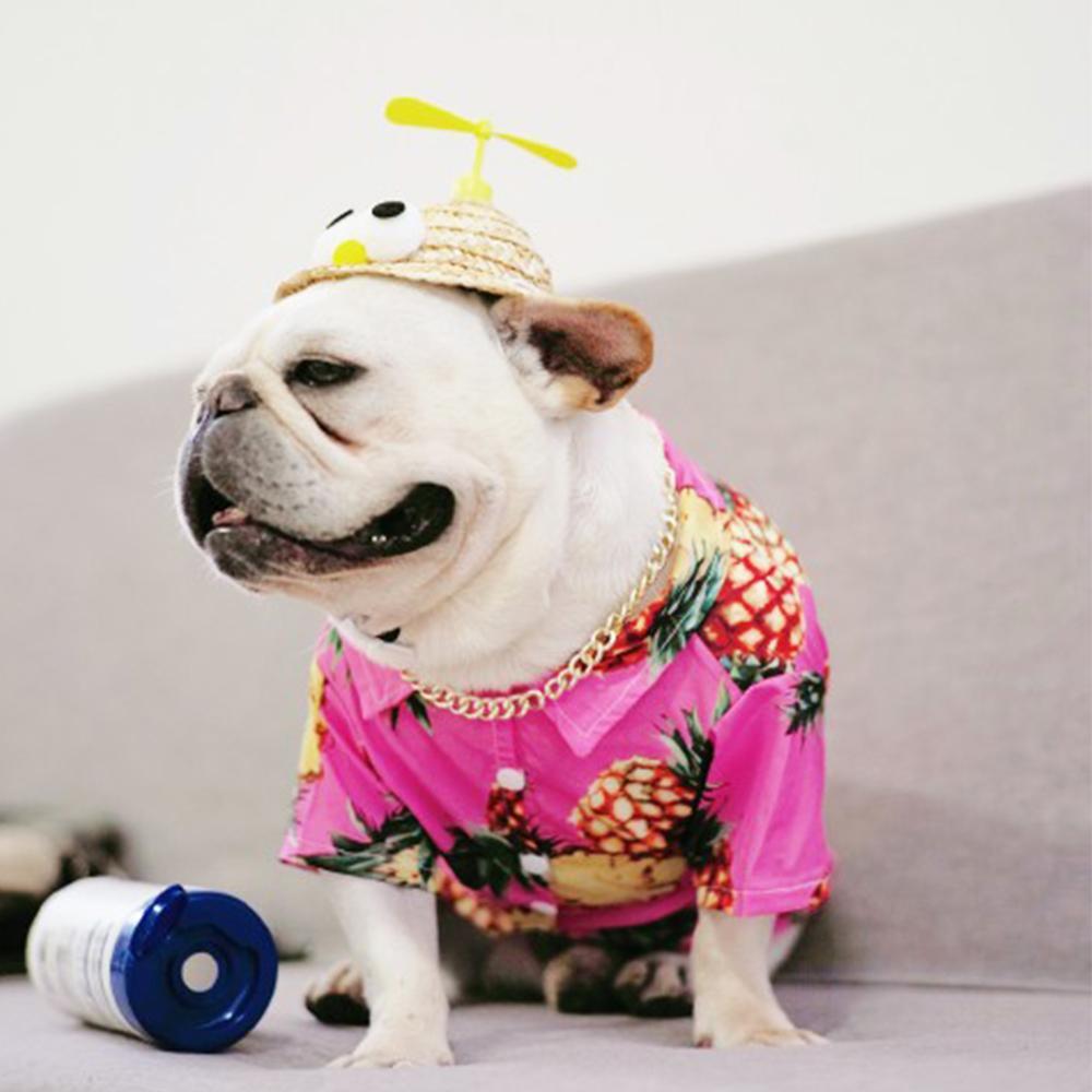 Dog Spinning Straw Hat for French Bulldog - Frenchiely