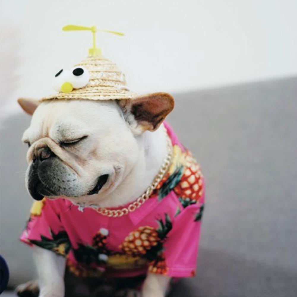 Dog Spinning Straw Hat for French Bulldog - Frenchiely