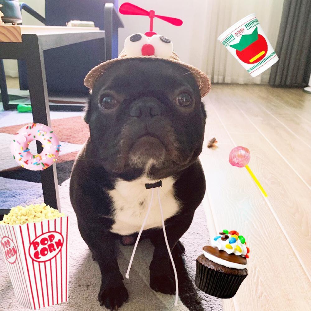 Dog Spinning Straw Hat for French Bulldog - Frenchiely
