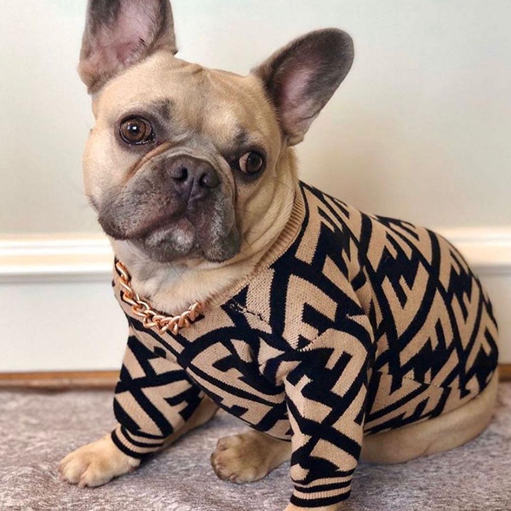 Stylish Zebra French Bulldog Sweaters - Frenchiely