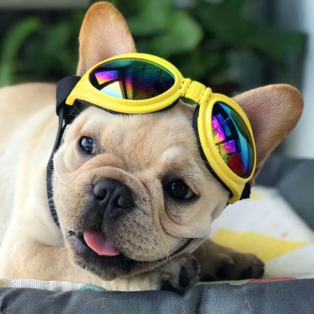 French Bulldog Sunglasses Dog Goggles - Frenchiely
