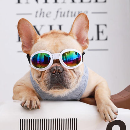 French Bulldog Sunglasses Dog Goggles - Frenchiely