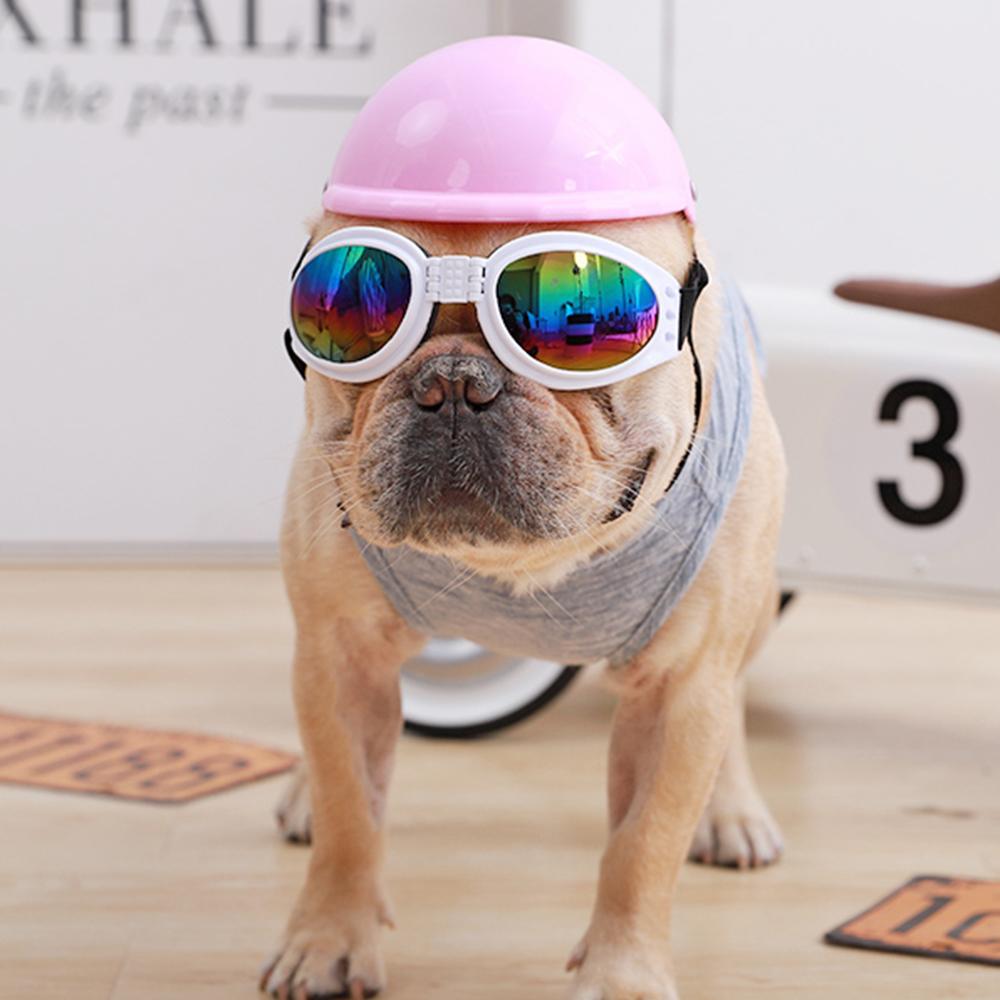 frenchie goggles French Bulldog Sunglasses Protection