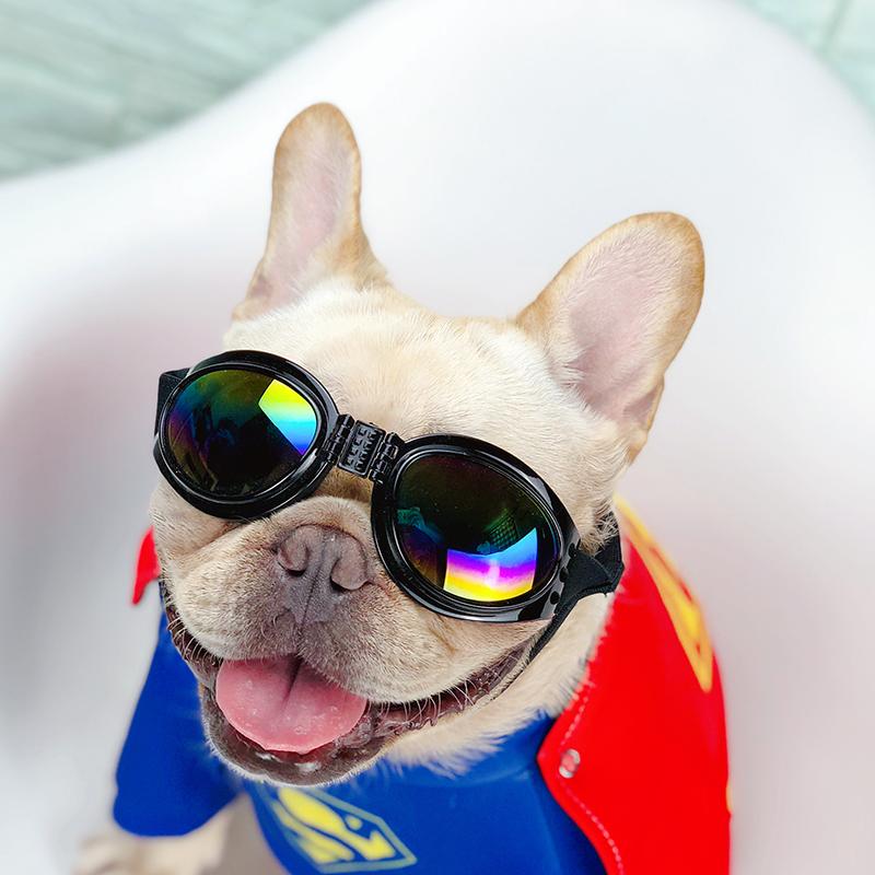 Dog Superman Cosplay Costumes For French Bulldog - Frenchiely