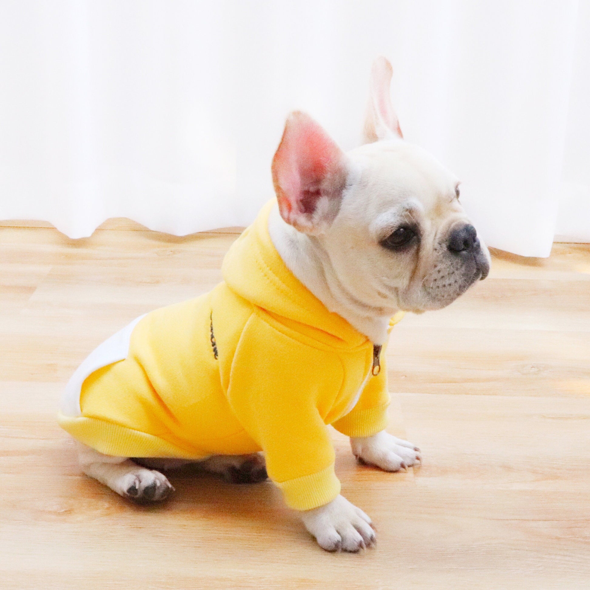 winter zip up hoodies for dogs with pocket - Frenchiely