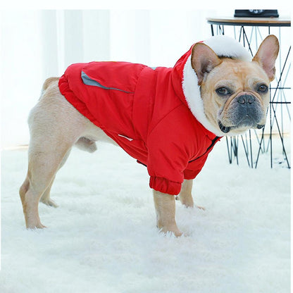 Red Hoodie Jacket Coat for Bulldogs - Frenchiely