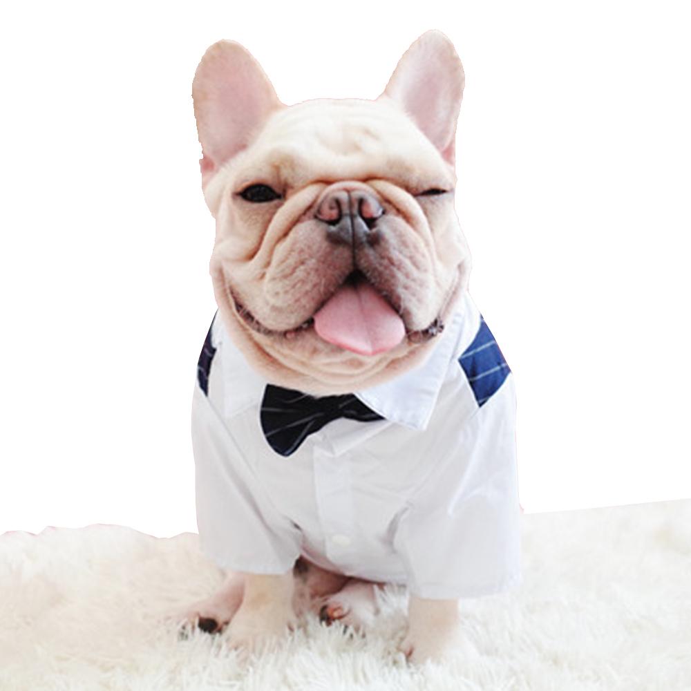 Dog Faux Two-Piece Wedding Suit with Necktie for French Bulldog - Frenchiely