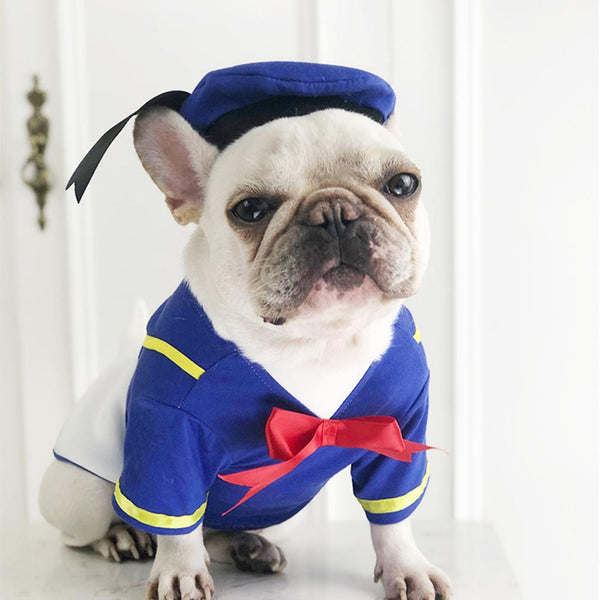 Dog Donald Duck Halloween Costume dog costumes french bulldog