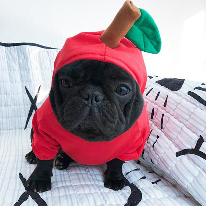 dog apple halloween costumes for french bulldogs - Frenchiely
