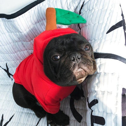 dog apple halloween costumes for french bulldogs - Frenchiely