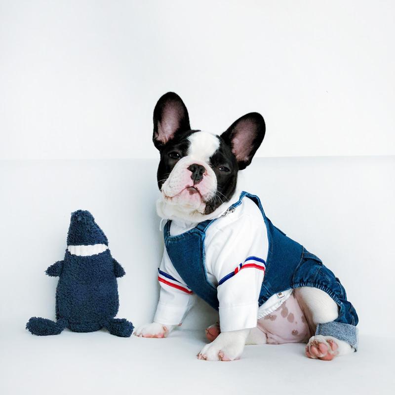 Dog Overalls for Large Dogs - Frenchiely