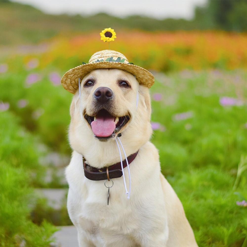 Dog Sunflower Straw Hat for Medium Dogs