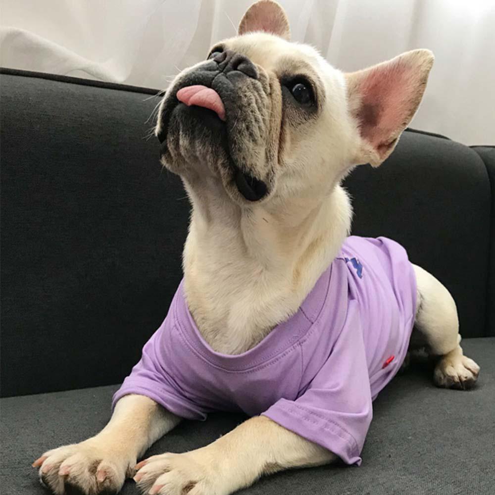 Loose-fit Short Sleeve Matching Frenchie Outfits - Frenchiely