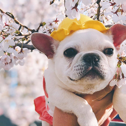 Dog Flamingo Suspender Skirt Dress for Frenchies with Yellow Hat - Frenchiely