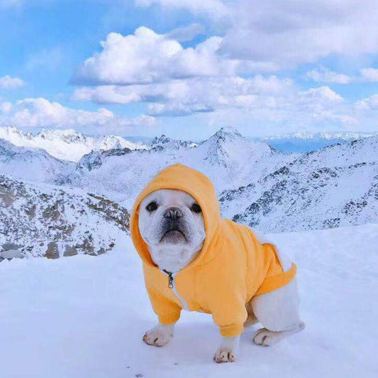 winter zip up hoodies for dogs with pocket - Frenchiely