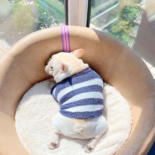 French Bulldog Puppy Sweater - Frenchiely