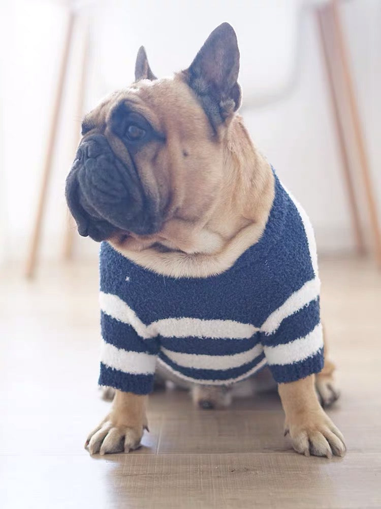French Bulldog Puppy Sweater - Frenchiely