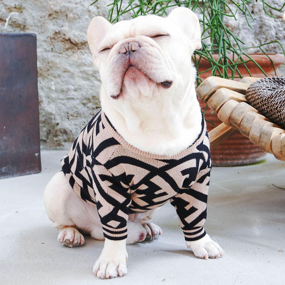 Stylish Zebra French Bulldog Sweaters - Frenchiely