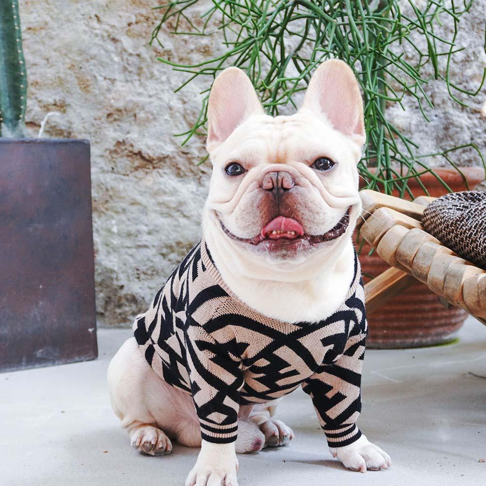 Stylish Zebra French Bulldog Sweaters - Frenchiely