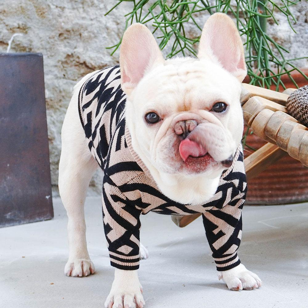 Stylish Zebra French Bulldog Sweaters - Frenchiely