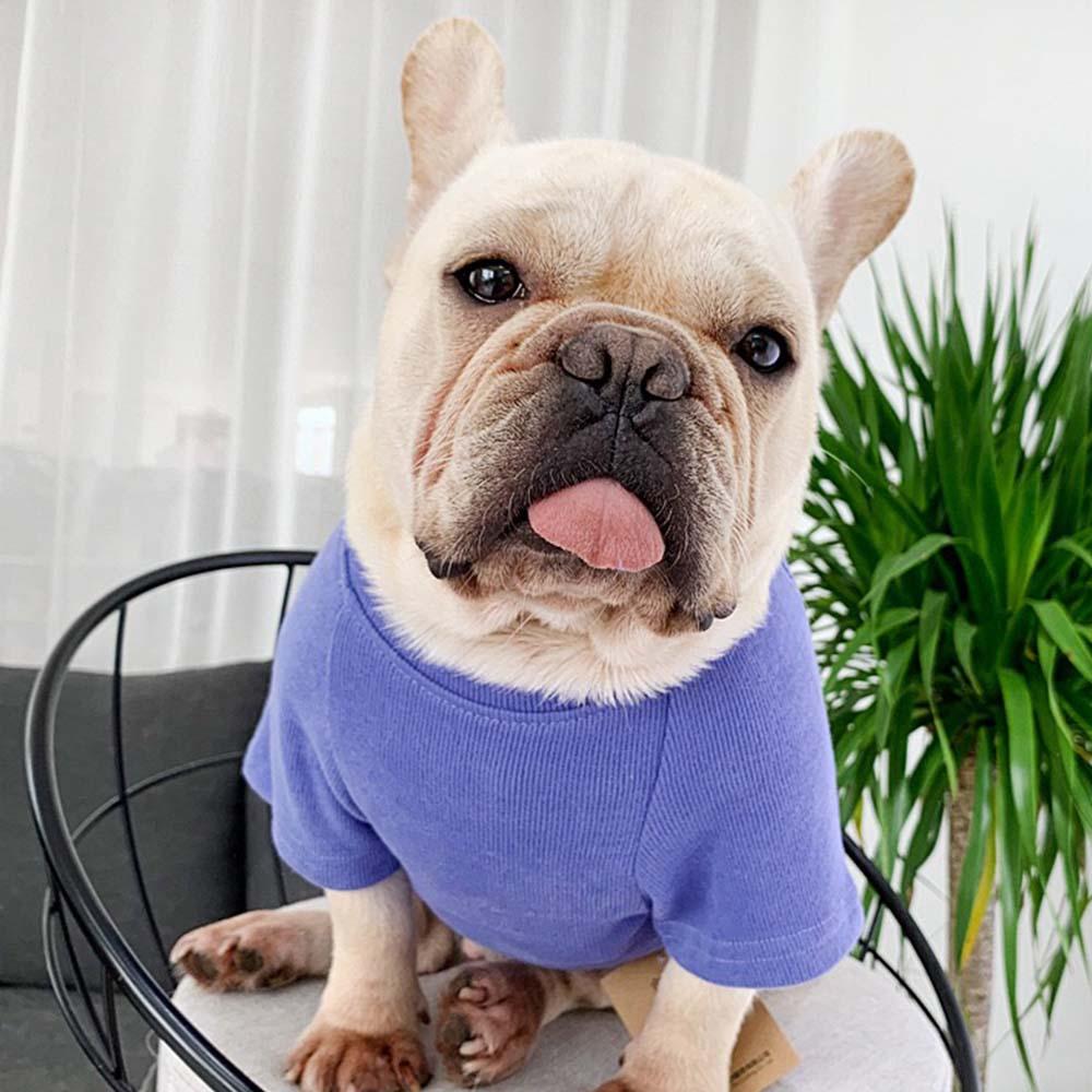 Dog Human Matching Shirts - Frenchiely