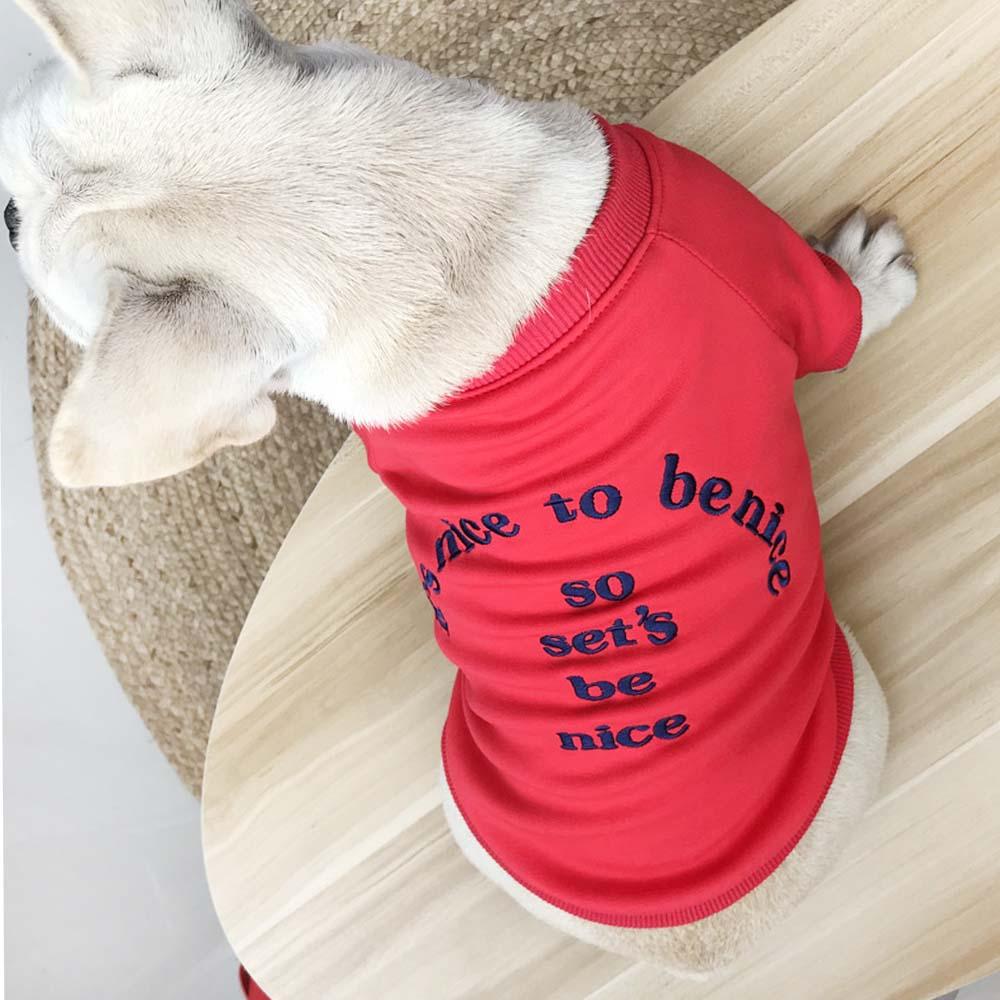 Matching Clothes for Me and My Dog - Frenchiely