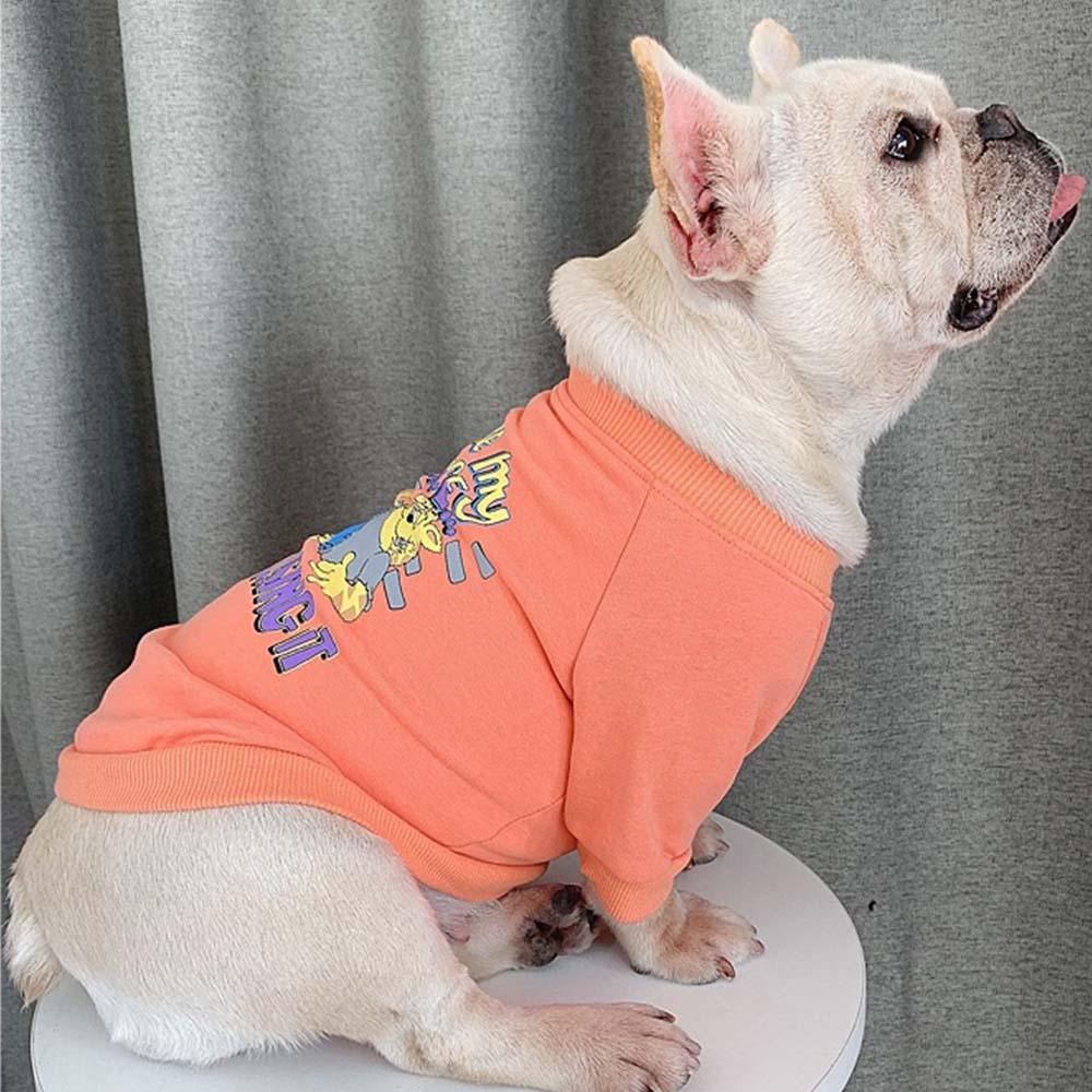 Matching Outfits with Dog - Frenchiely