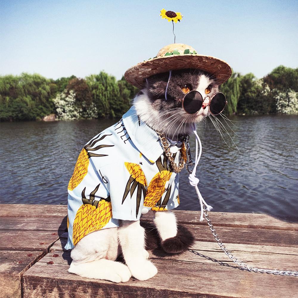 Dog Sunflower Straw Hat for Medium Dogs