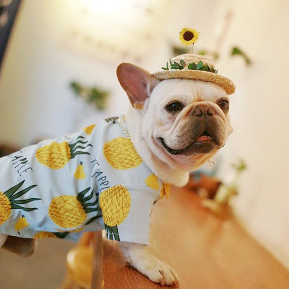 Dog Sunflower Straw Hat for Medium Dogs - Frenchiely