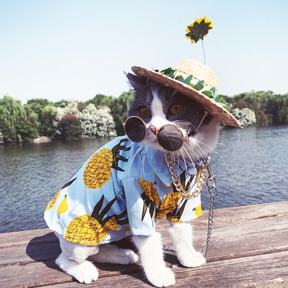 Dog Sunflower Straw Hat for Medium Dogs - Frenchiely