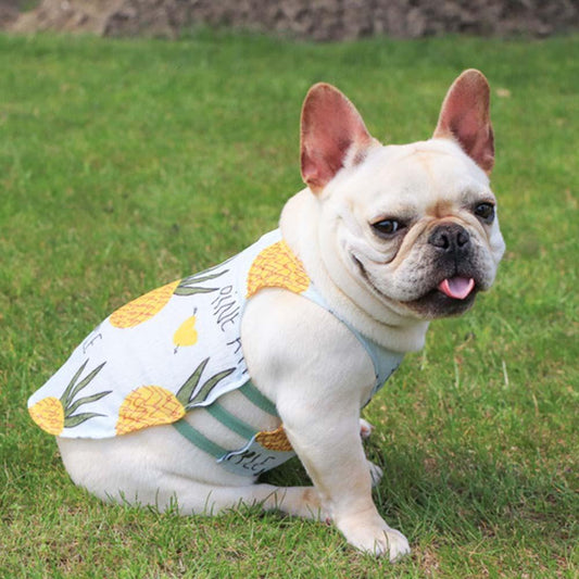 Dog Summer Sunscreen Shirt - Frenchiely