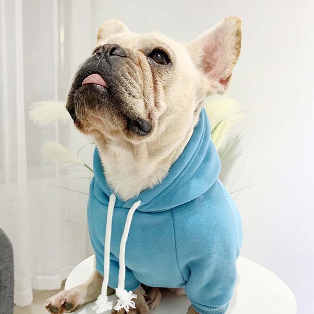 Owner Dog Matching Shirts with Logo - Frenchiely