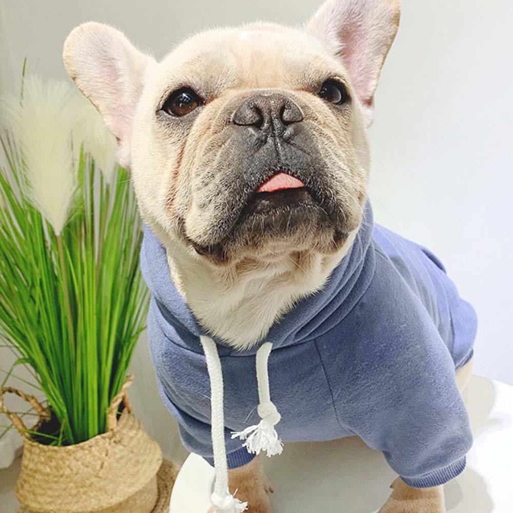 Owner Dog Matching Shirts with Logo - Frenchiely