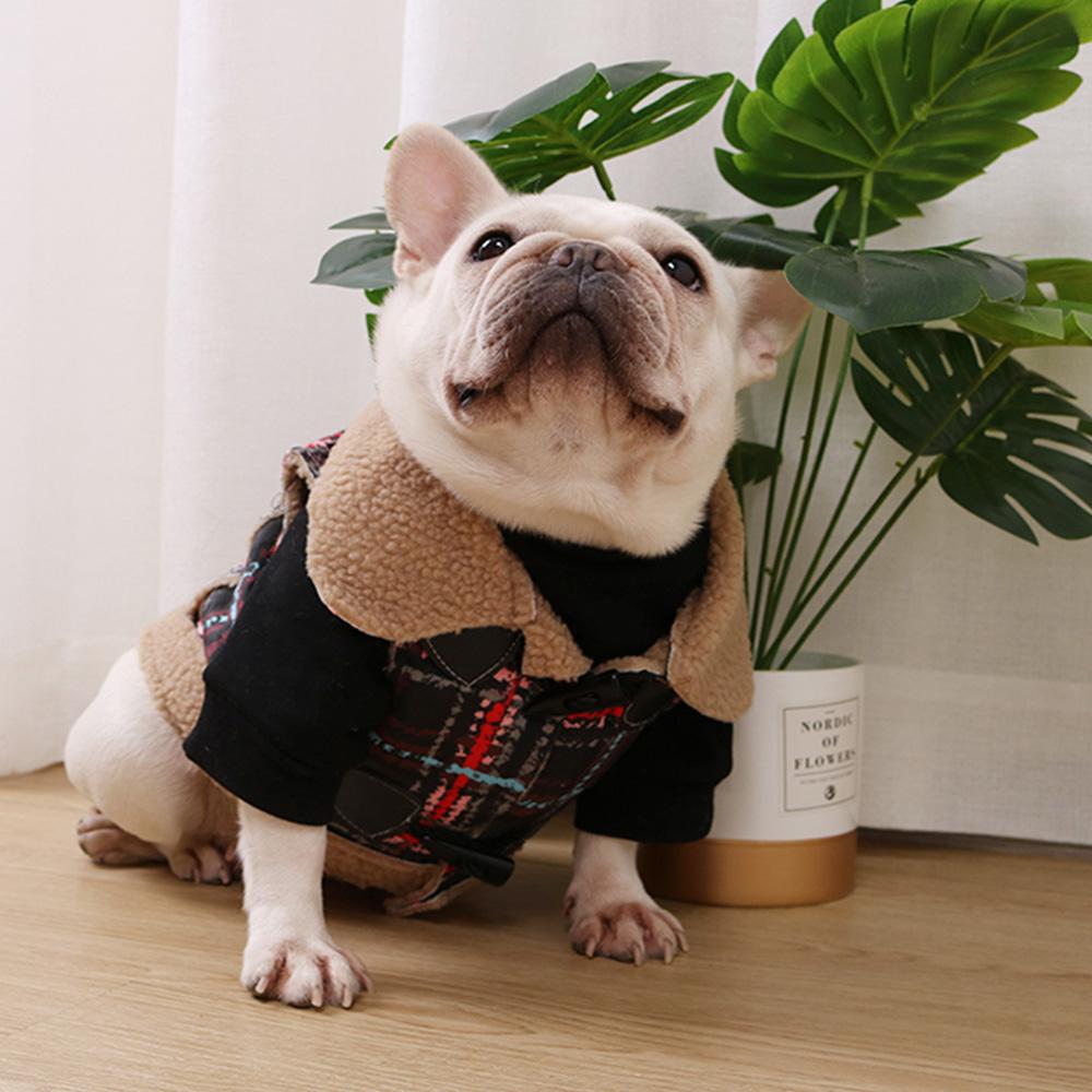 Frenchie winter jacket store