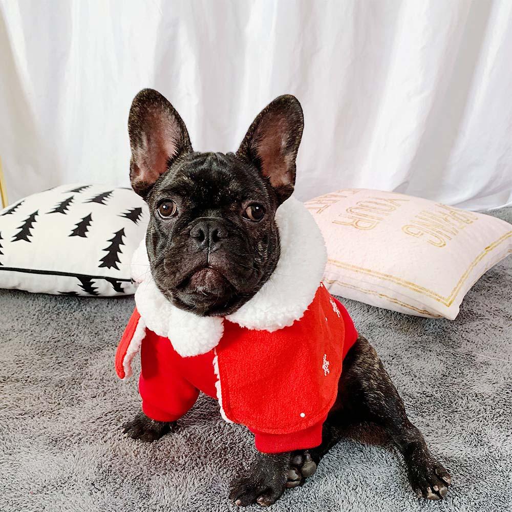 santa costume for dog Christmas cloak for small dogs - Frenchiely