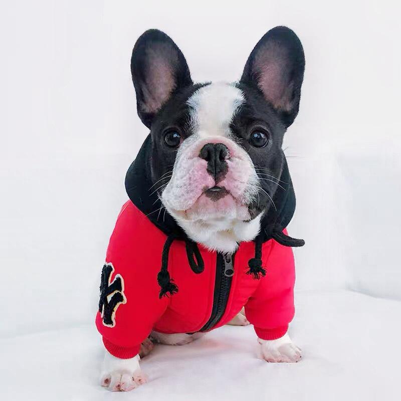 French Bulldog Hooded Coat - Frenchiely